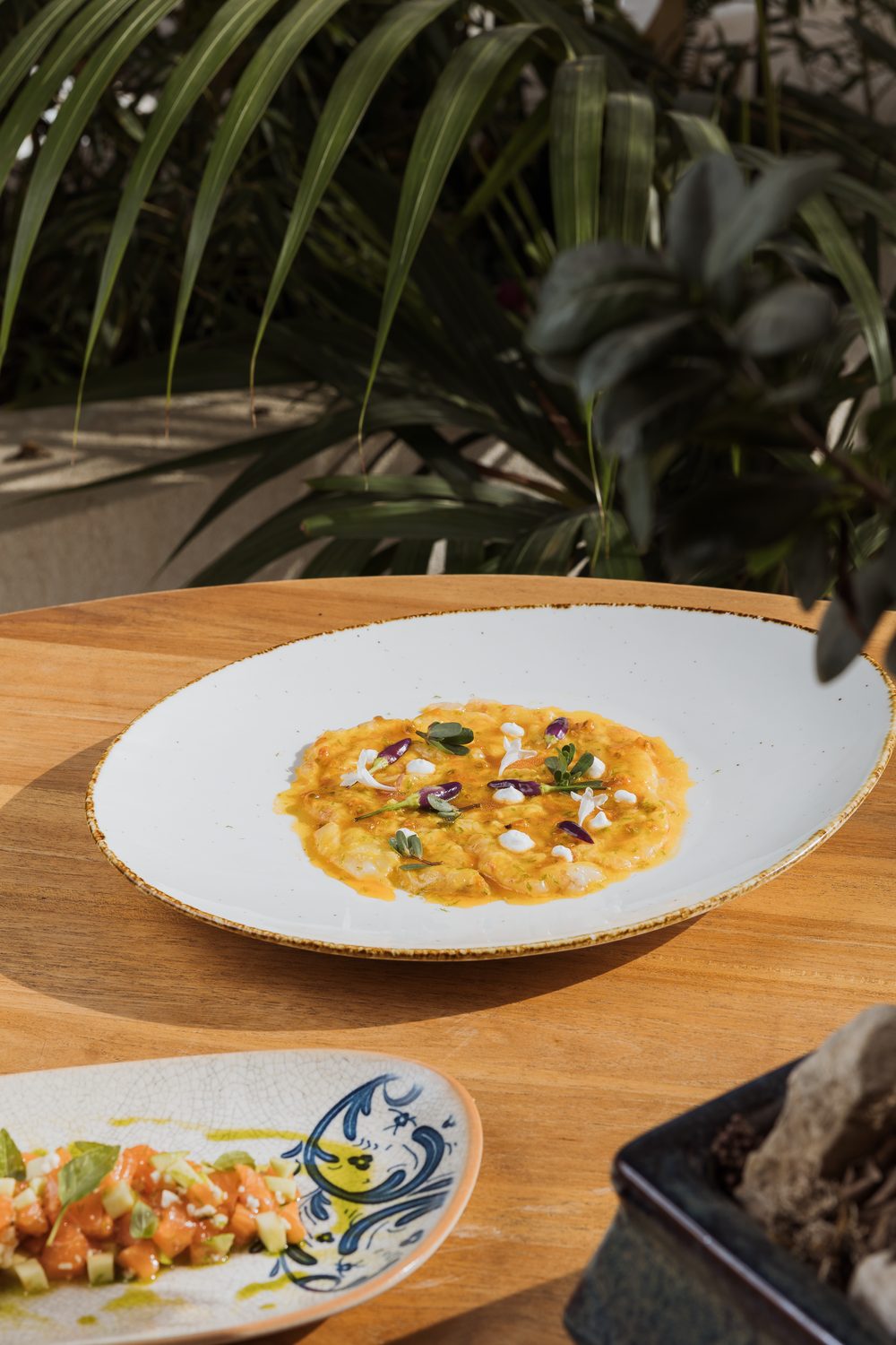 Abonora dish 1
